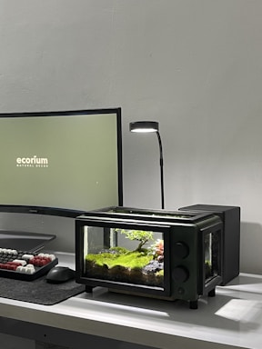 A cozy desk setup with a laptop open to an aquarium blog contact page, surrounded by small fish tanks and aquatic plants.