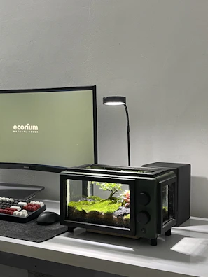 A minimalist desk setup with a small, elegant aquarium adding life and color.