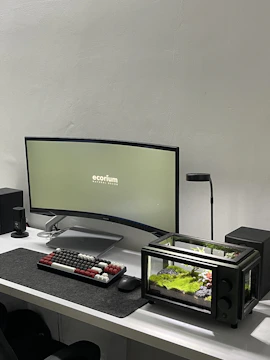 A minimalist workspace with black and neon green design elements.