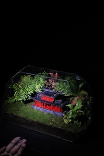 A glass terrarium contains a miniature model of a red and black oriental-style building surrounded by various small green and red plants on a bed of lush green moss. The scene is delicately lit, highlighting the contrasts between the vibrant colors of the building and the greenery. A hand is visible, interacting with the terrarium and providing a sense of scale.