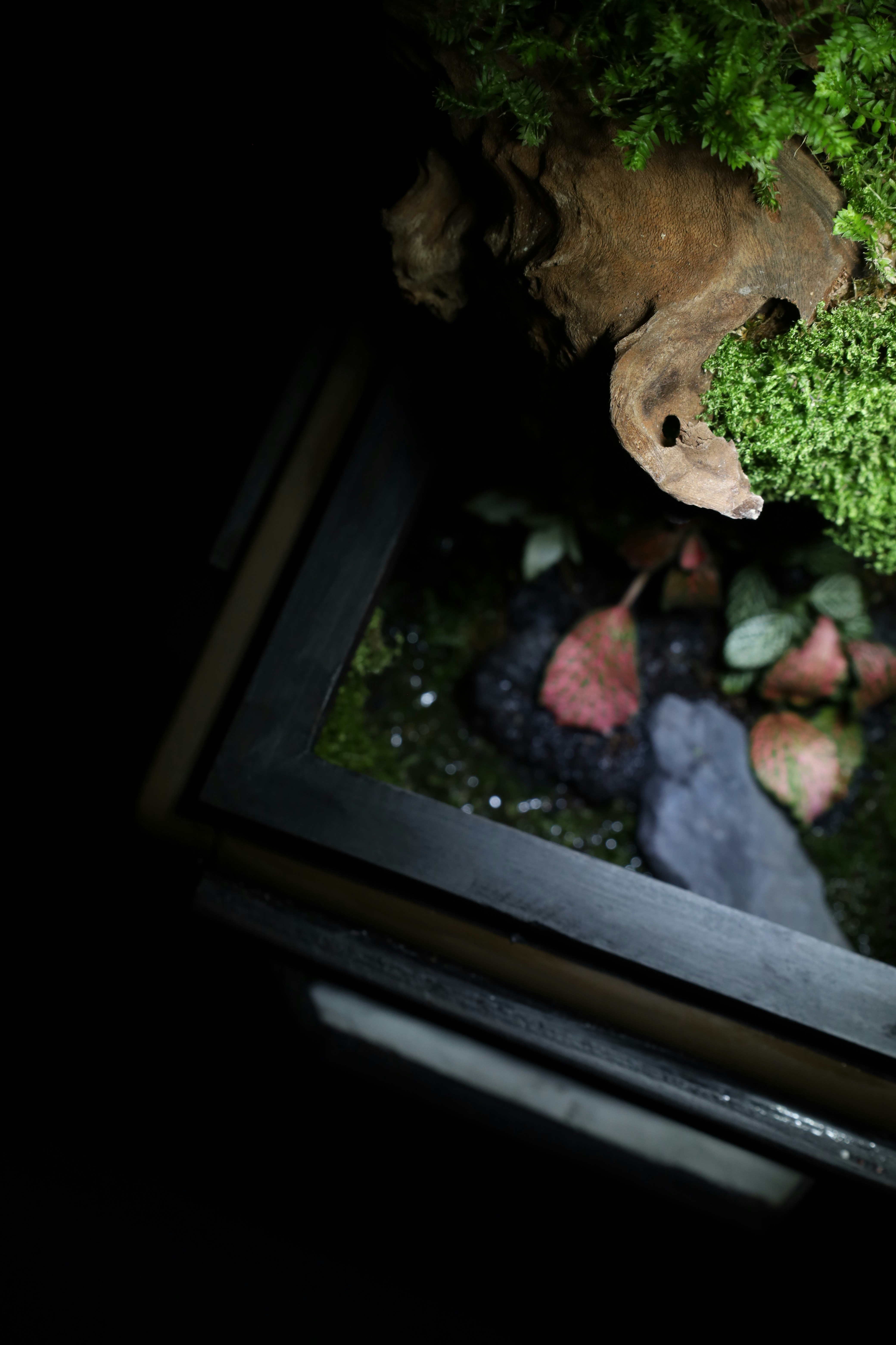 Photo by tranquangphu