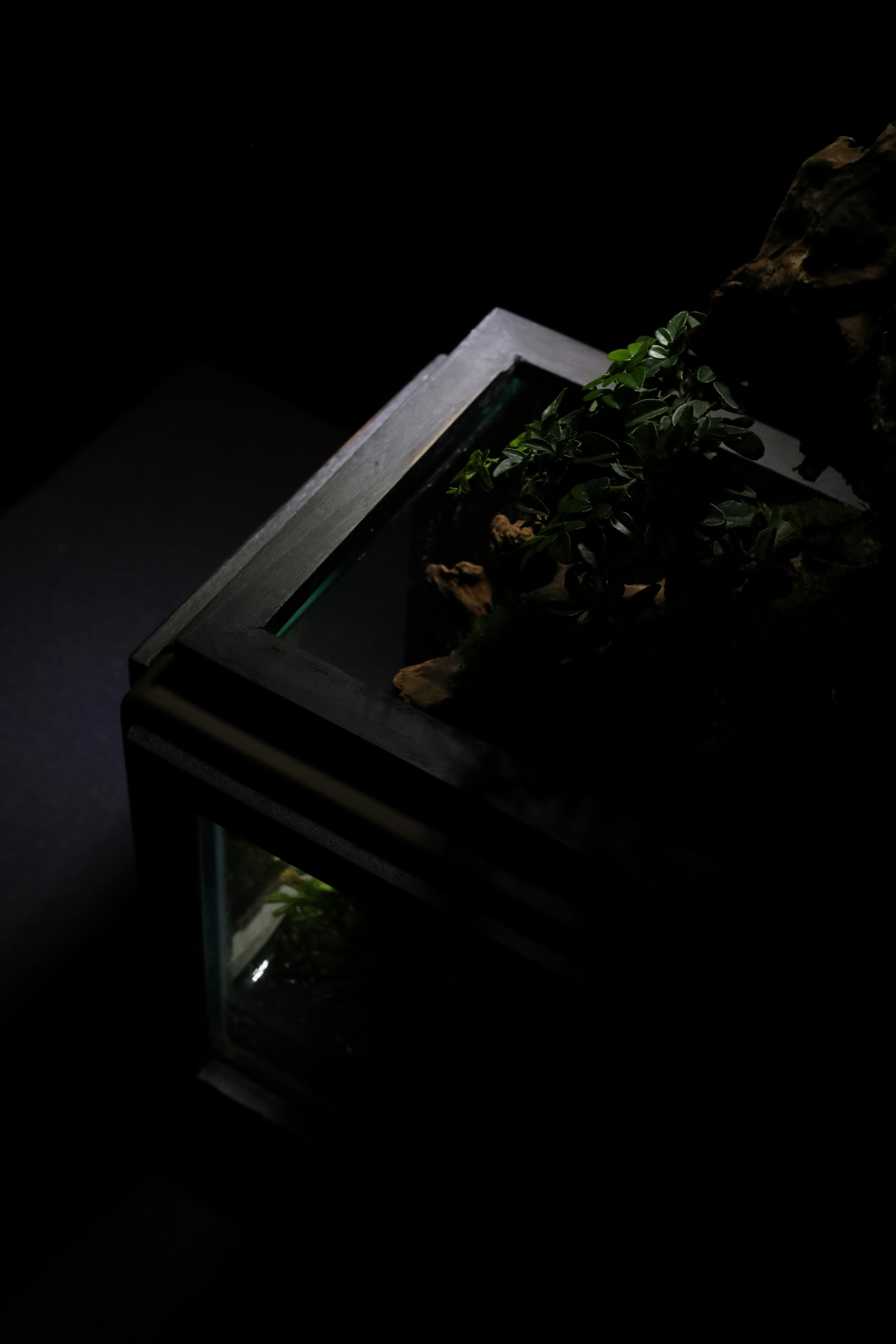 Photo by tranquangphu