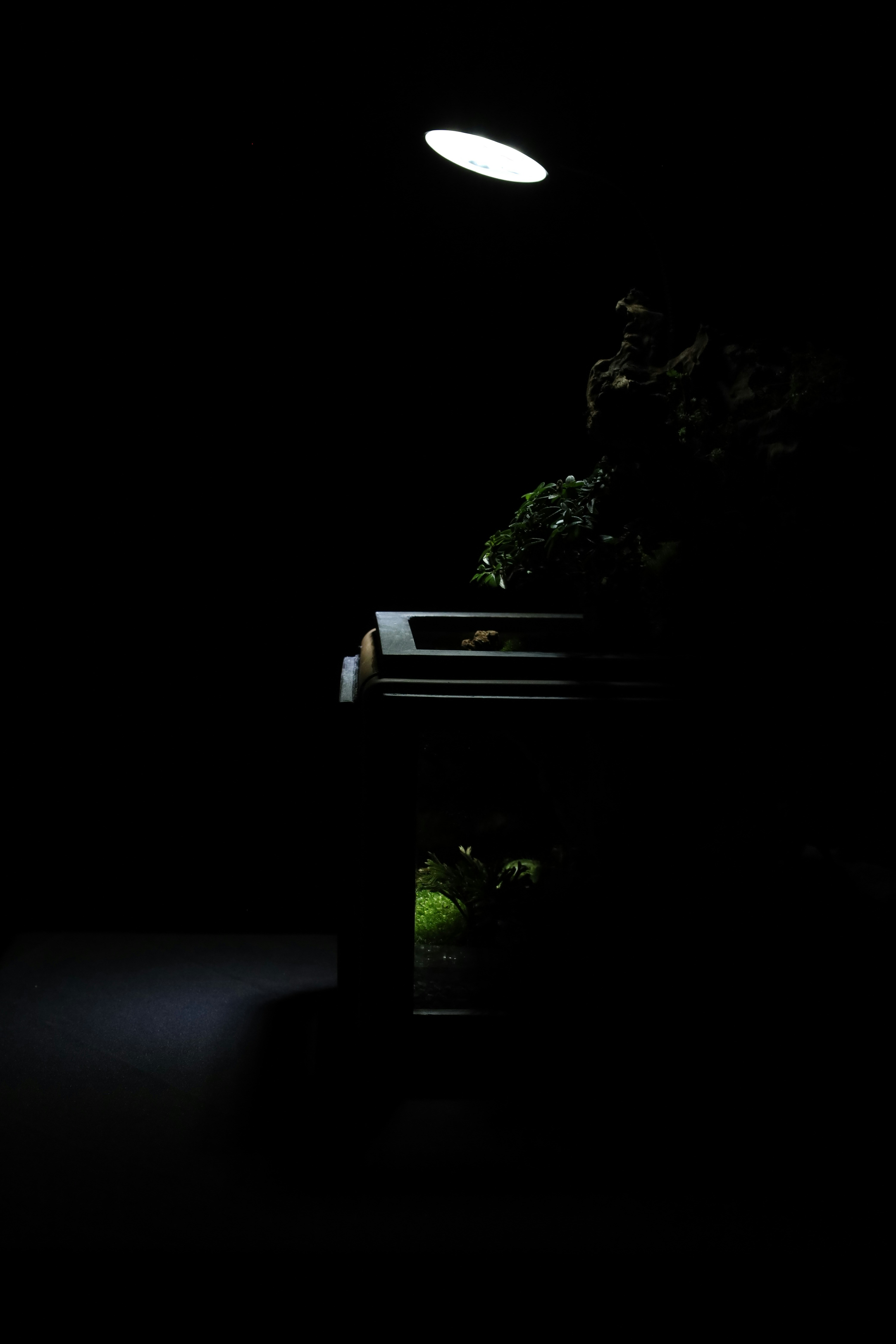 Photo by tranquangphu