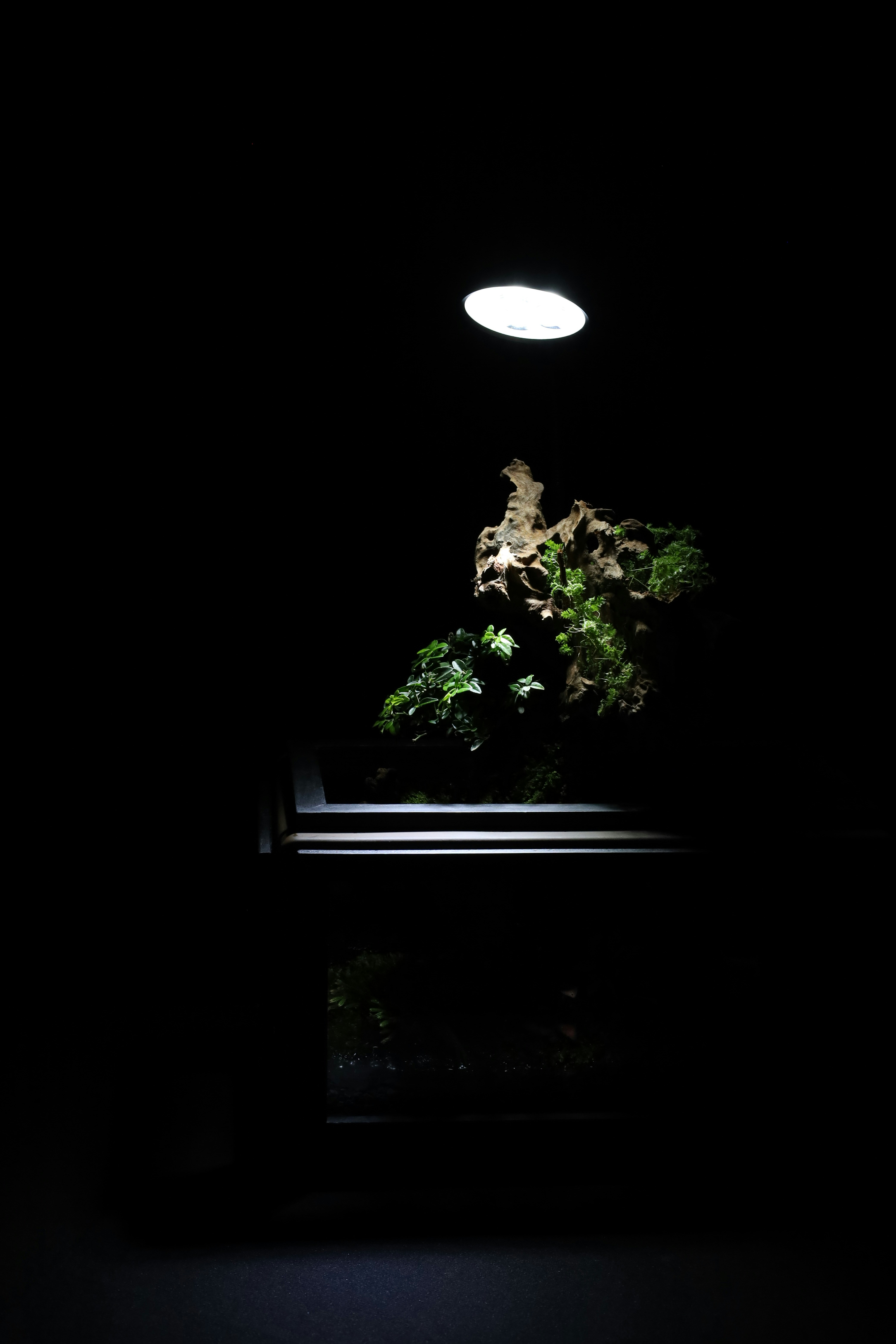 Photo by tranquangphu