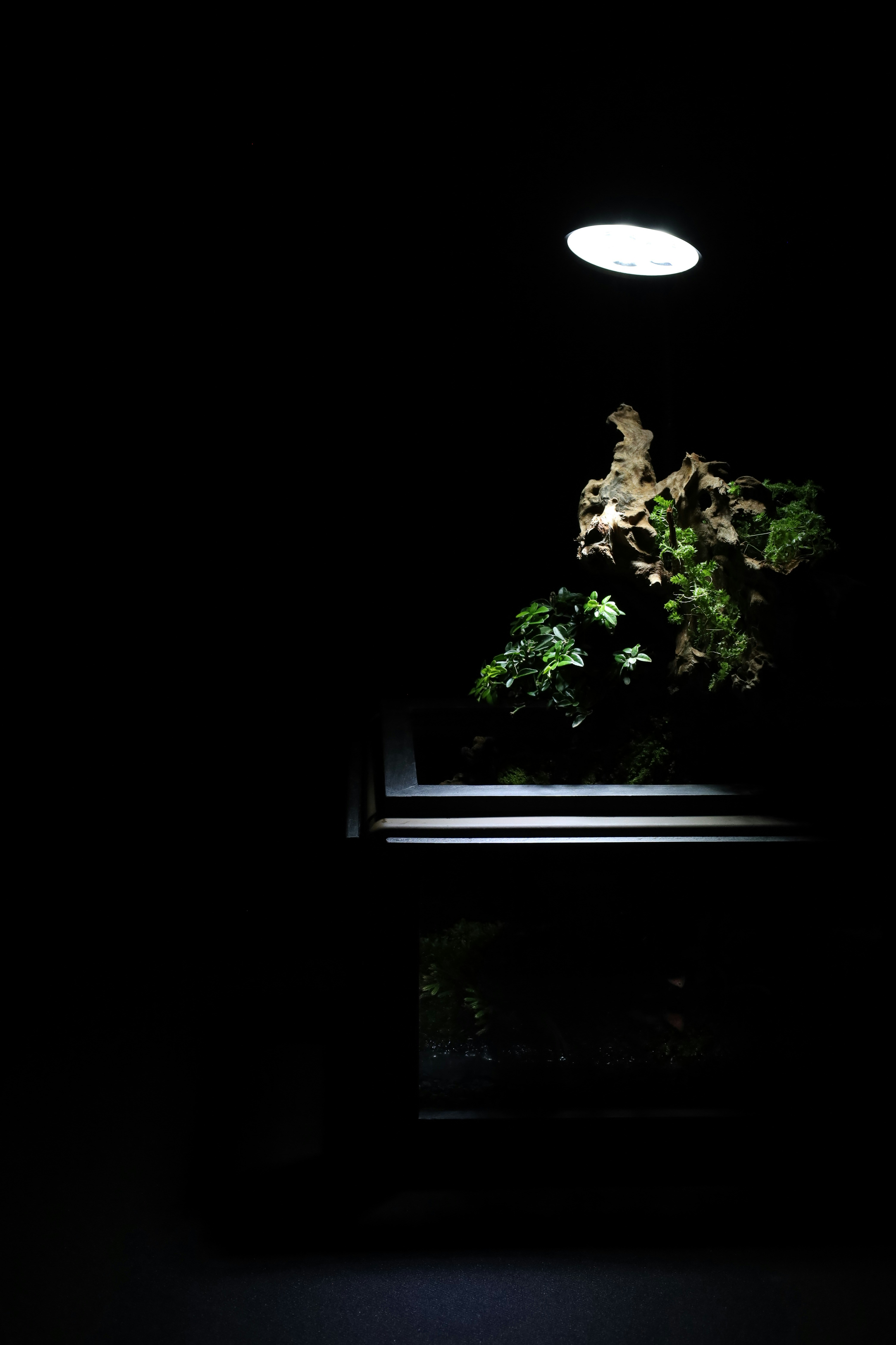 Photo by tranquangphu