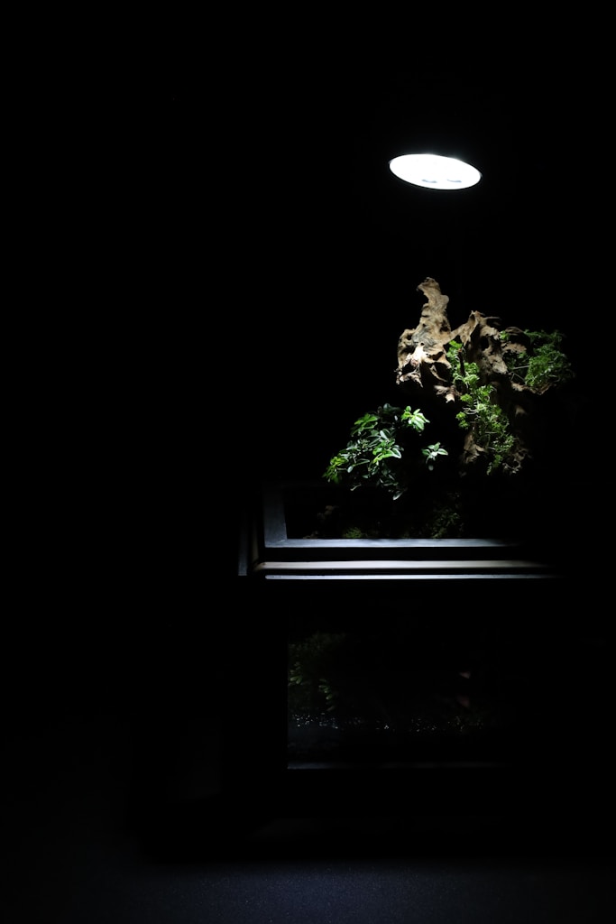 The Facet Terrarium