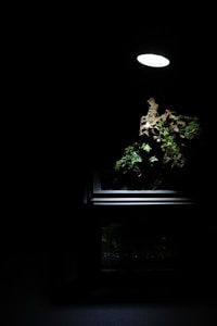 The Facet Terrarium