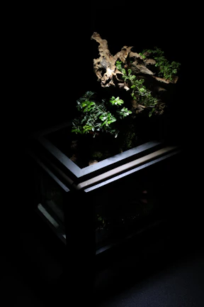 A lush terrarium showcasing a thriving ant colony with natural wood and leaf accents.