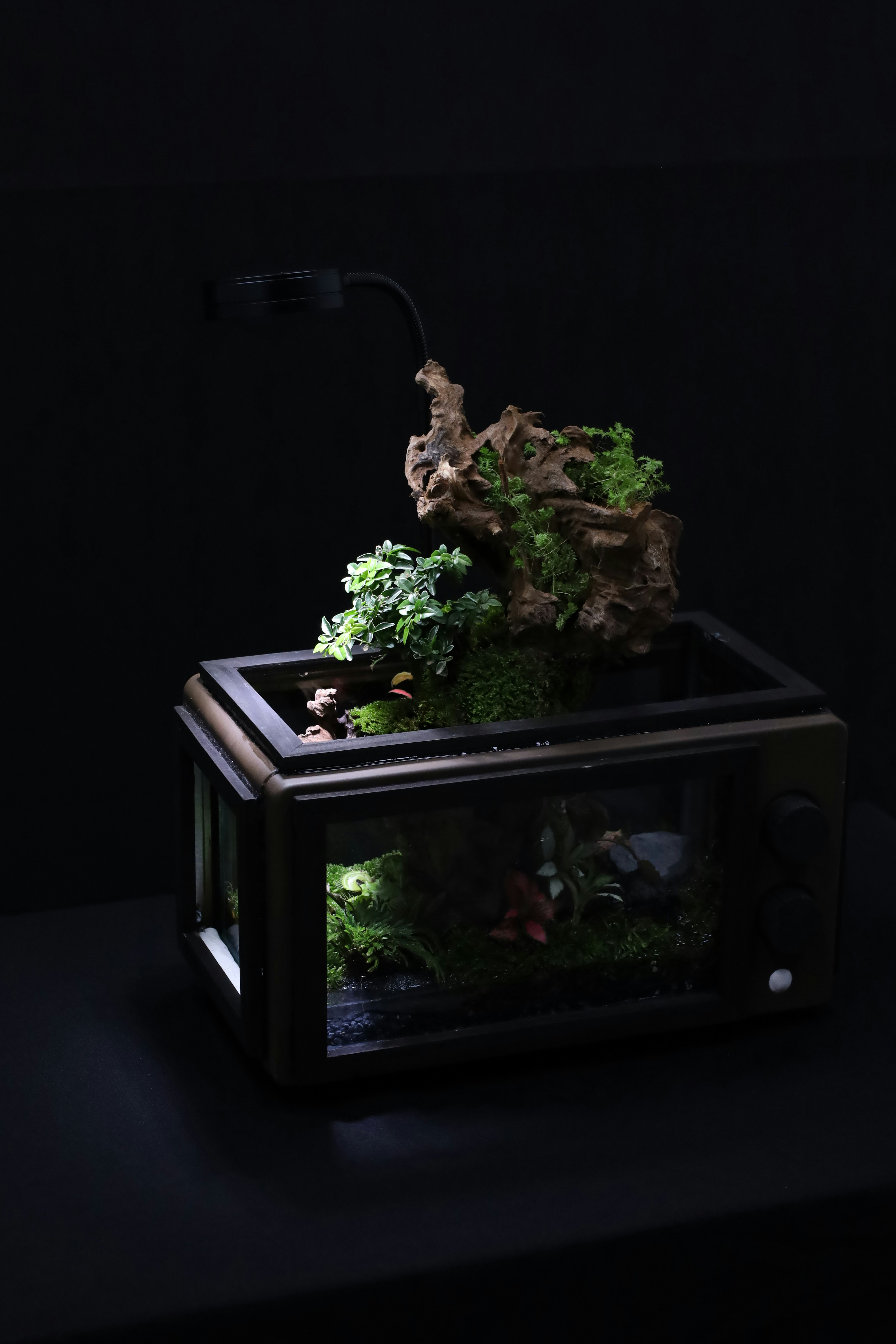 Photo by tranquangphu