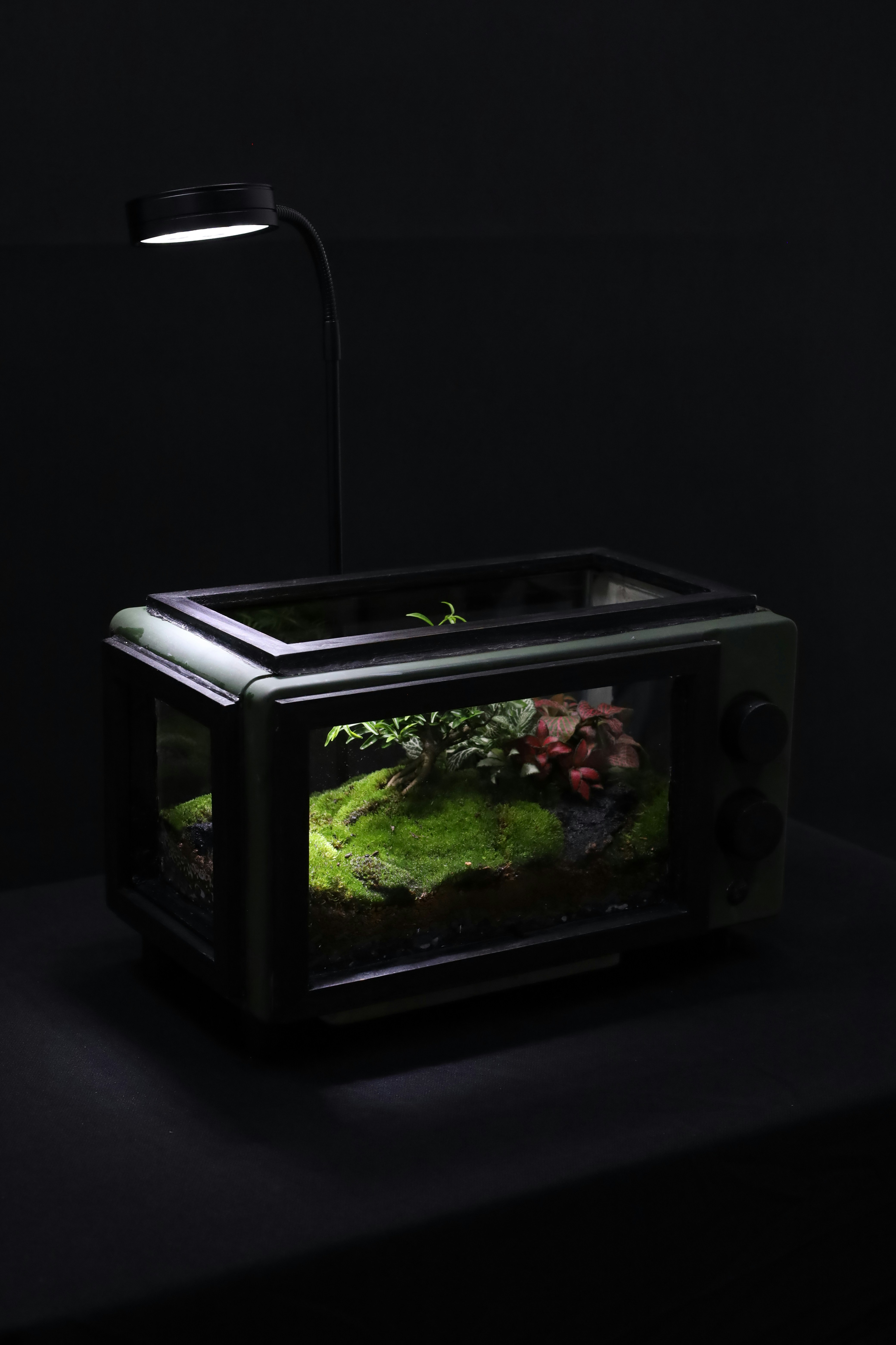 a fish tank with a light on top of it