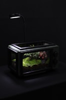 A terrarium resembling a miniature forest scene is housed in a repurposed glass-panelled appliance. It features lush green moss and small plants under the soft illumination of an overhead lamp. The setting creates a serene and naturalistic miniature environment against a dark background.