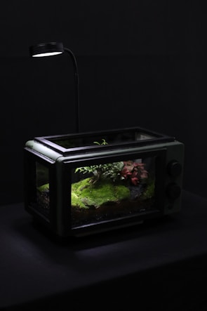 A terrarium resembling a miniature forest scene is housed in a repurposed glass-panelled appliance. It features lush green moss and small plants under the soft illumination of an overhead lamp. The setting creates a serene and naturalistic miniature environment against a dark background.