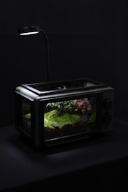 A terrarium resembling a miniature forest scene is housed in a repurposed glass-panelled appliance. It features lush green moss and small plants under the soft illumination of an overhead lamp. The setting creates a serene and naturalistic miniature environment against a dark background.