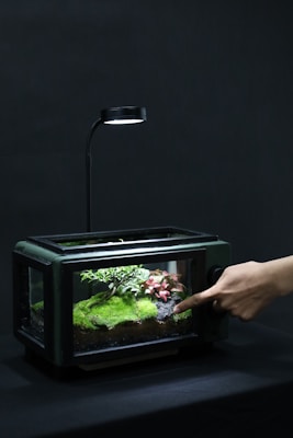 A glass terrarium containing a miniature landscape is placed under a small, focused lamp. Inside, there's lush green moss covering the ground with a small tree and a pink-leaved plant adding detail. A human hand is gently pointing towards the terrarium, suggesting interaction or adjustment.