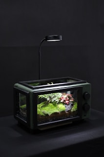a fish tank with a light on top of it