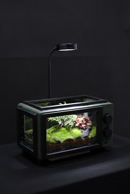 a fish tank with a light on top of it