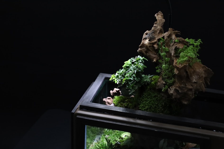 Paludarium Bewohner: Die besten Tiere für dein Halb-Aquarium
