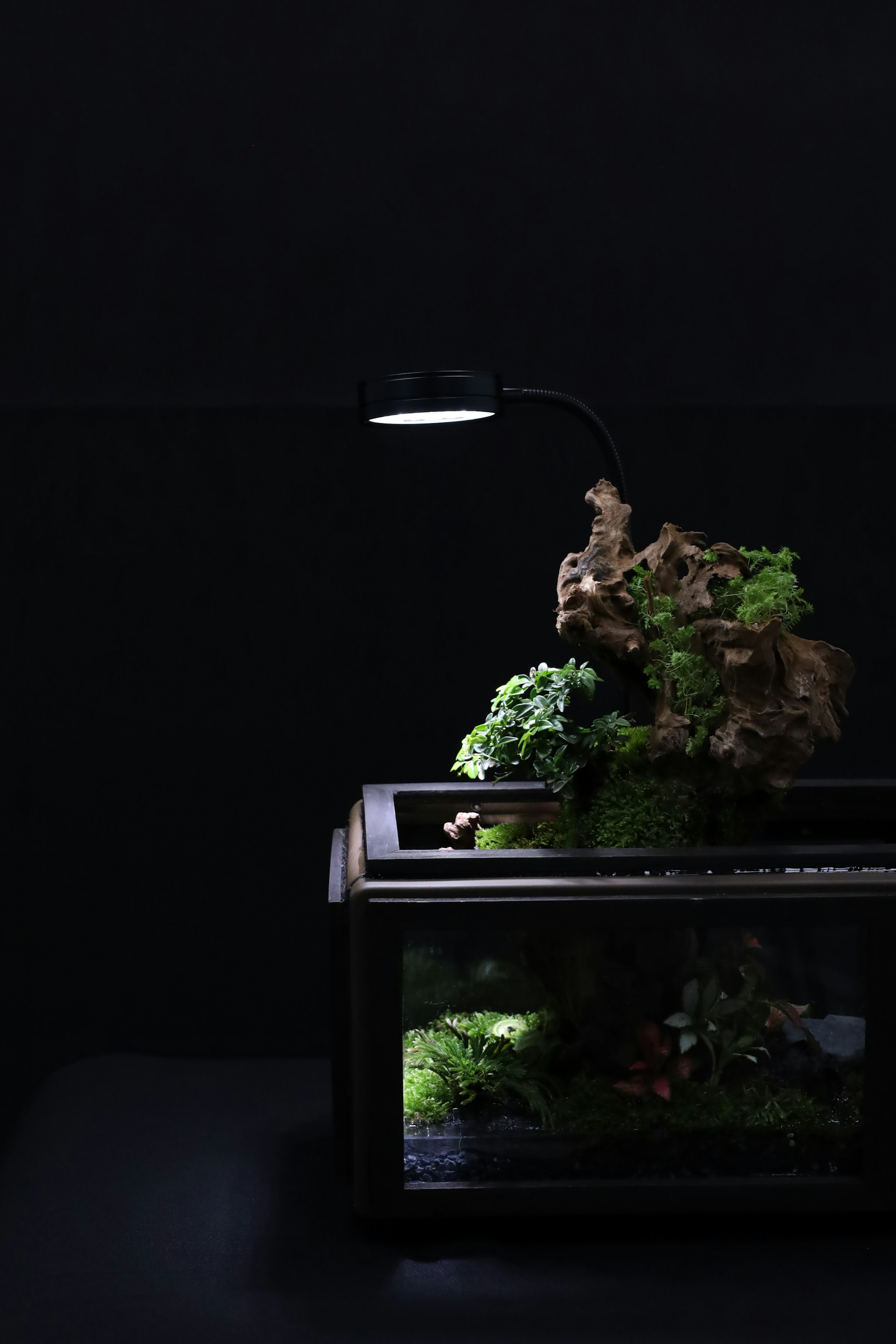 woman wearing yellow long-sleeved dress under white clouds and blue sky during daytime