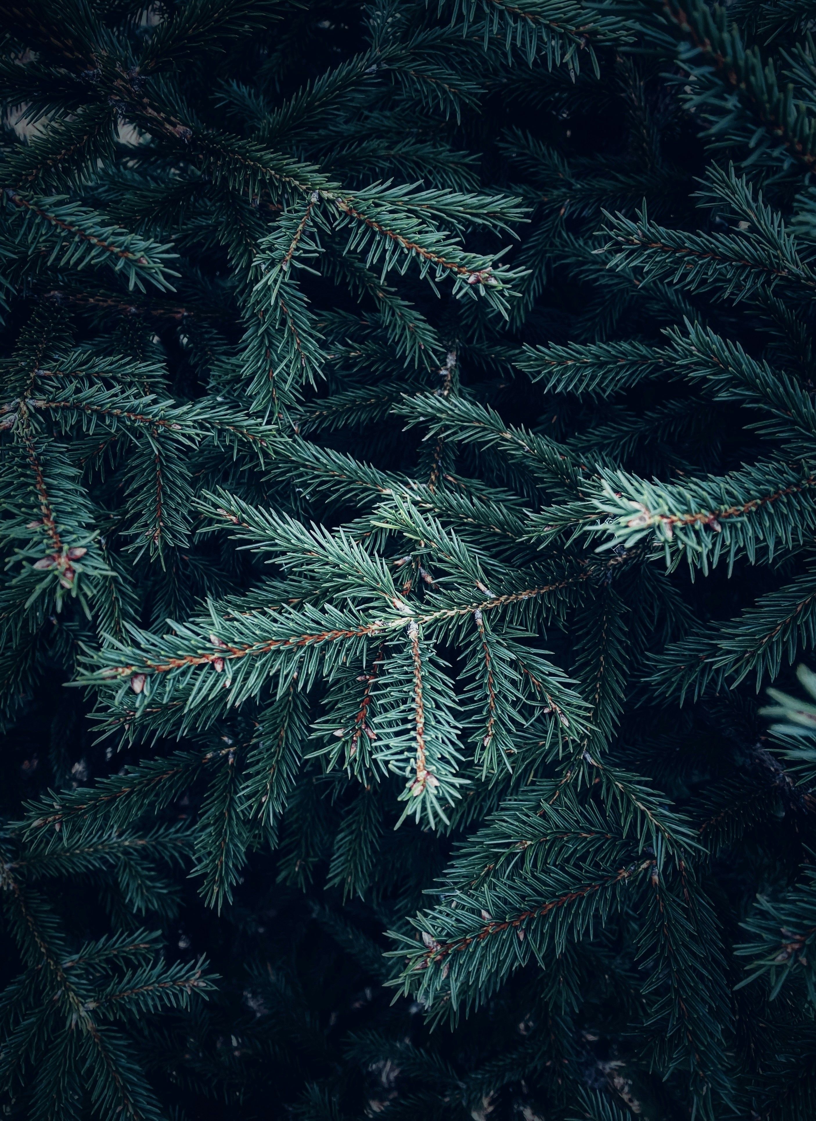 Photo by eugene_golovesov