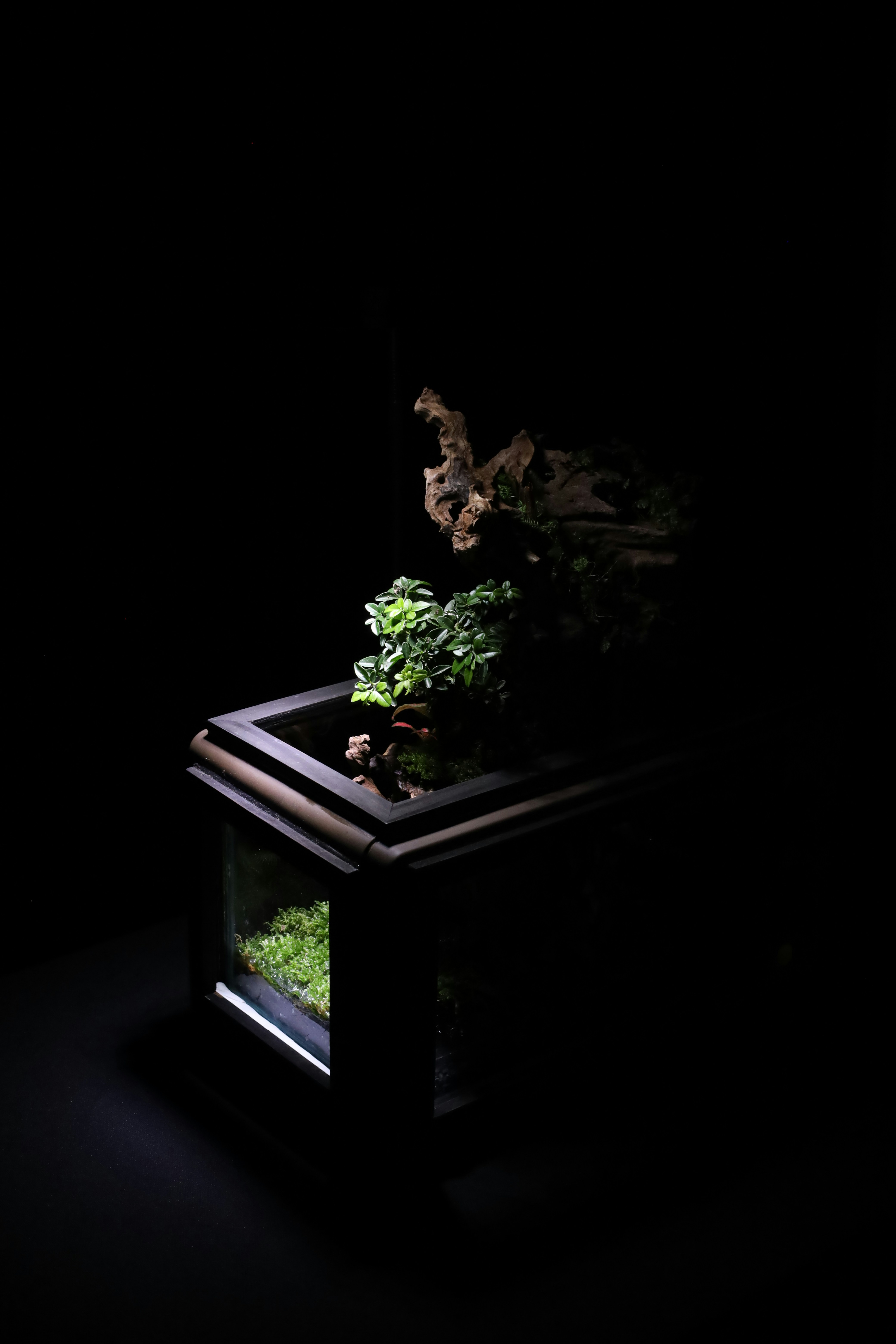 Photo by tranquangphu