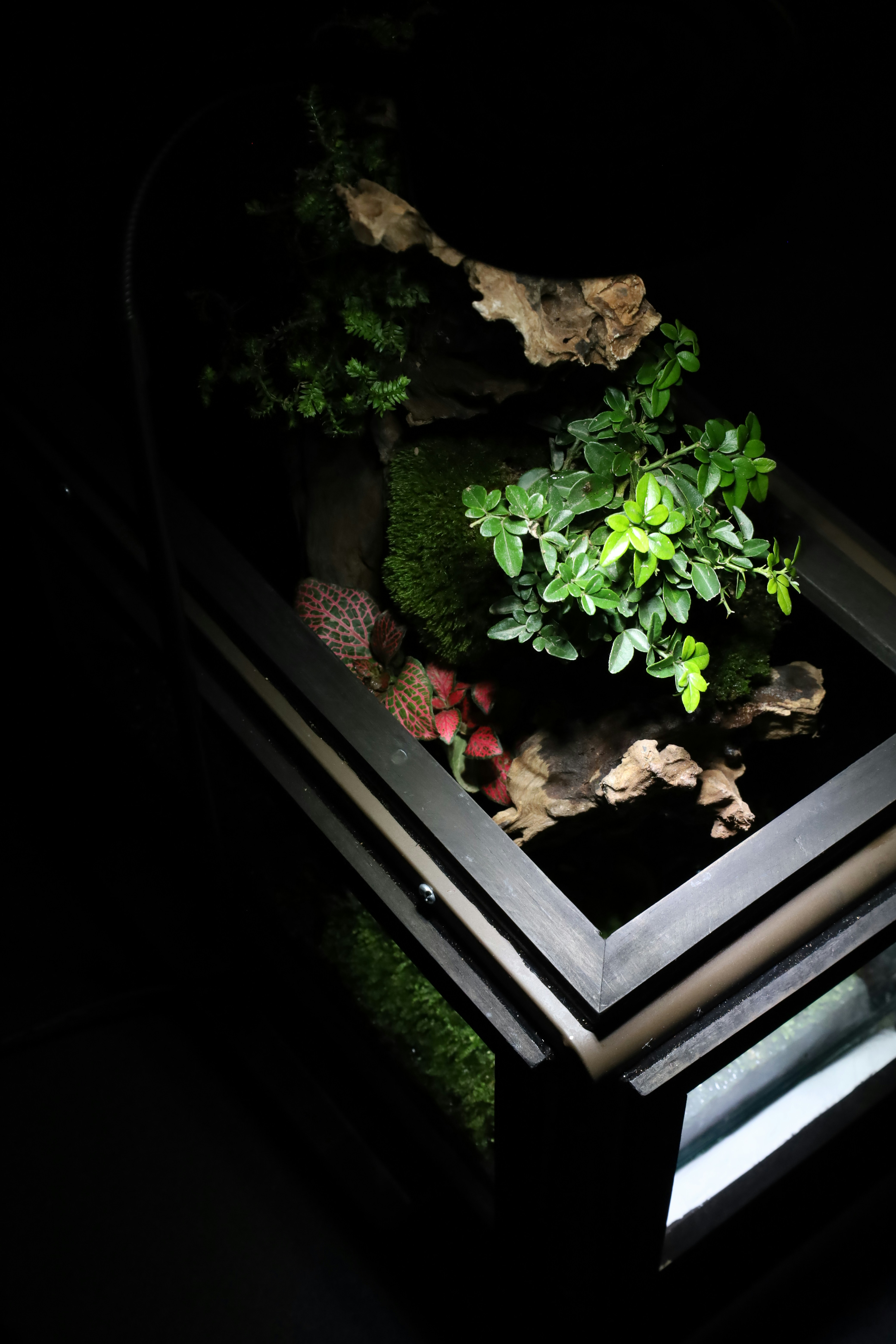 Photo by tranquangphu