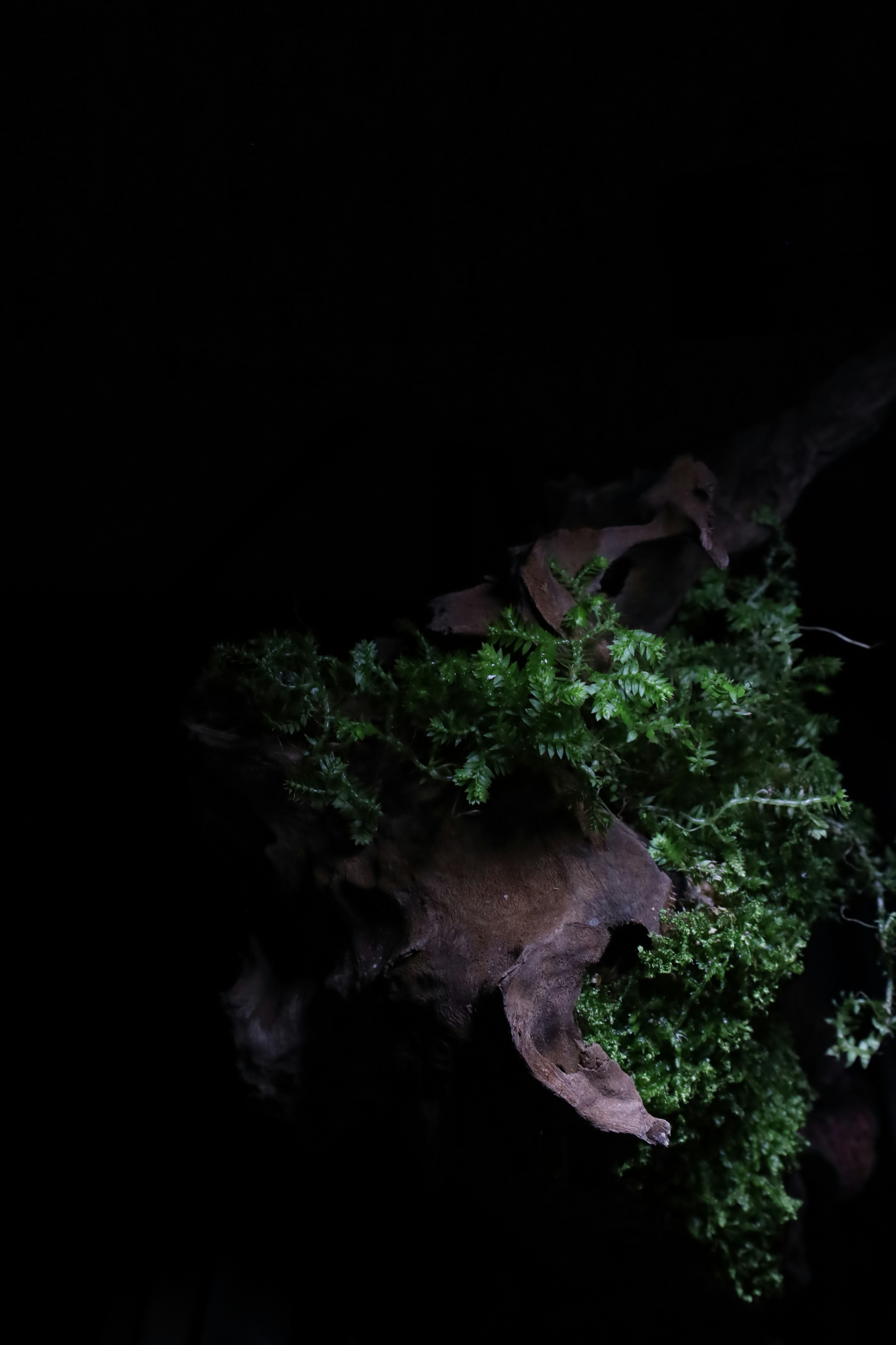 Photo by tranquangphu