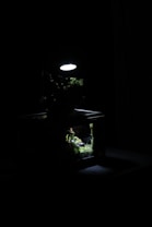 A dimly lit glass terrarium is displayed with lush, green plants illuminated from above by a small, focused light. The light highlights the textures and details of the plants, creating a serene miniature landscape surrounded by darkness.