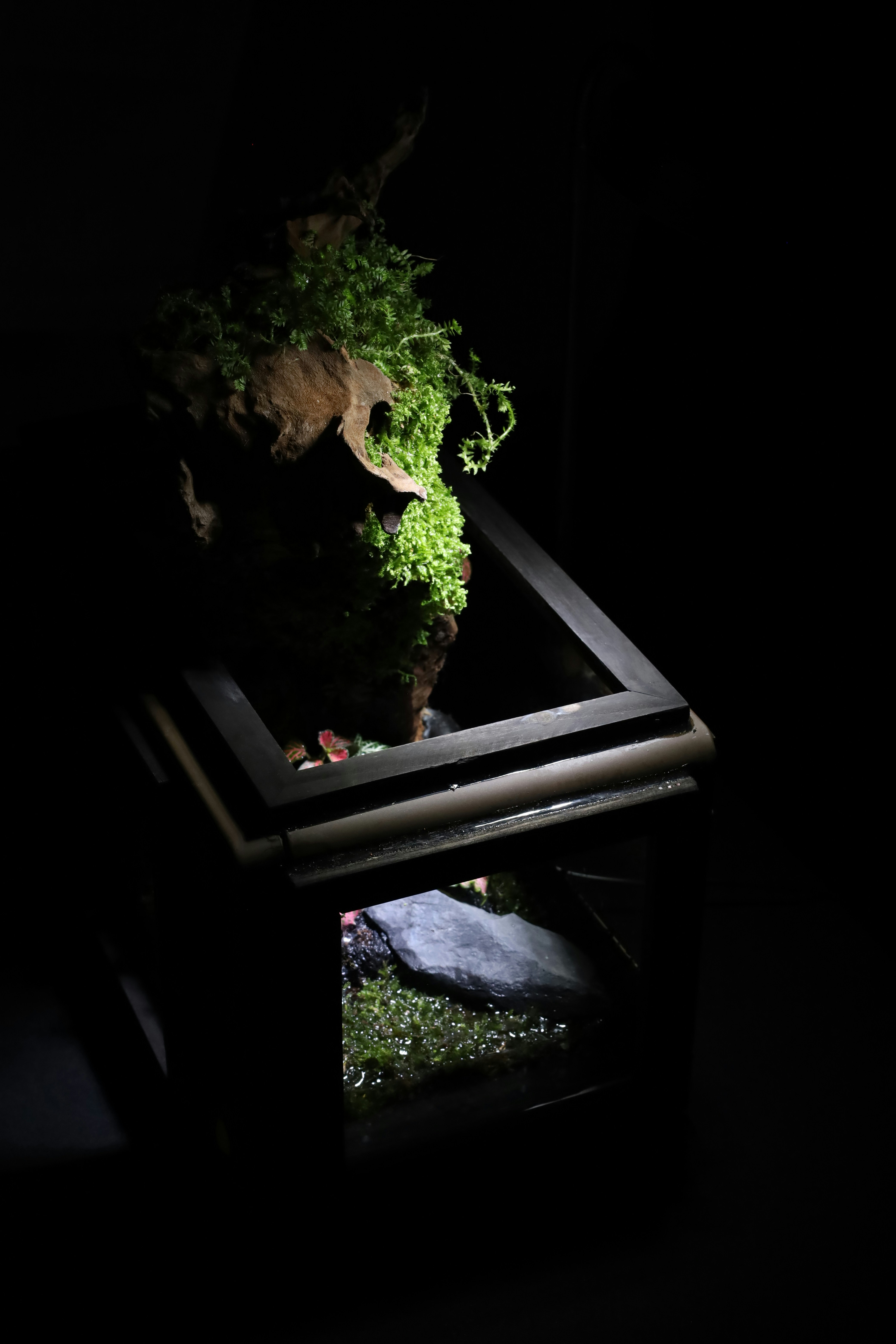 Photo by tranquangphu