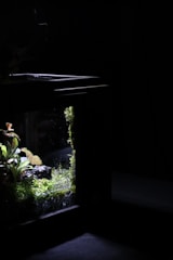 A dark room with an illuminated aquarium displaying lush green foliage and moss-covered rocks. The aquarium is partially visible with a soft light highlighting the plants and creating reflections on the glass.