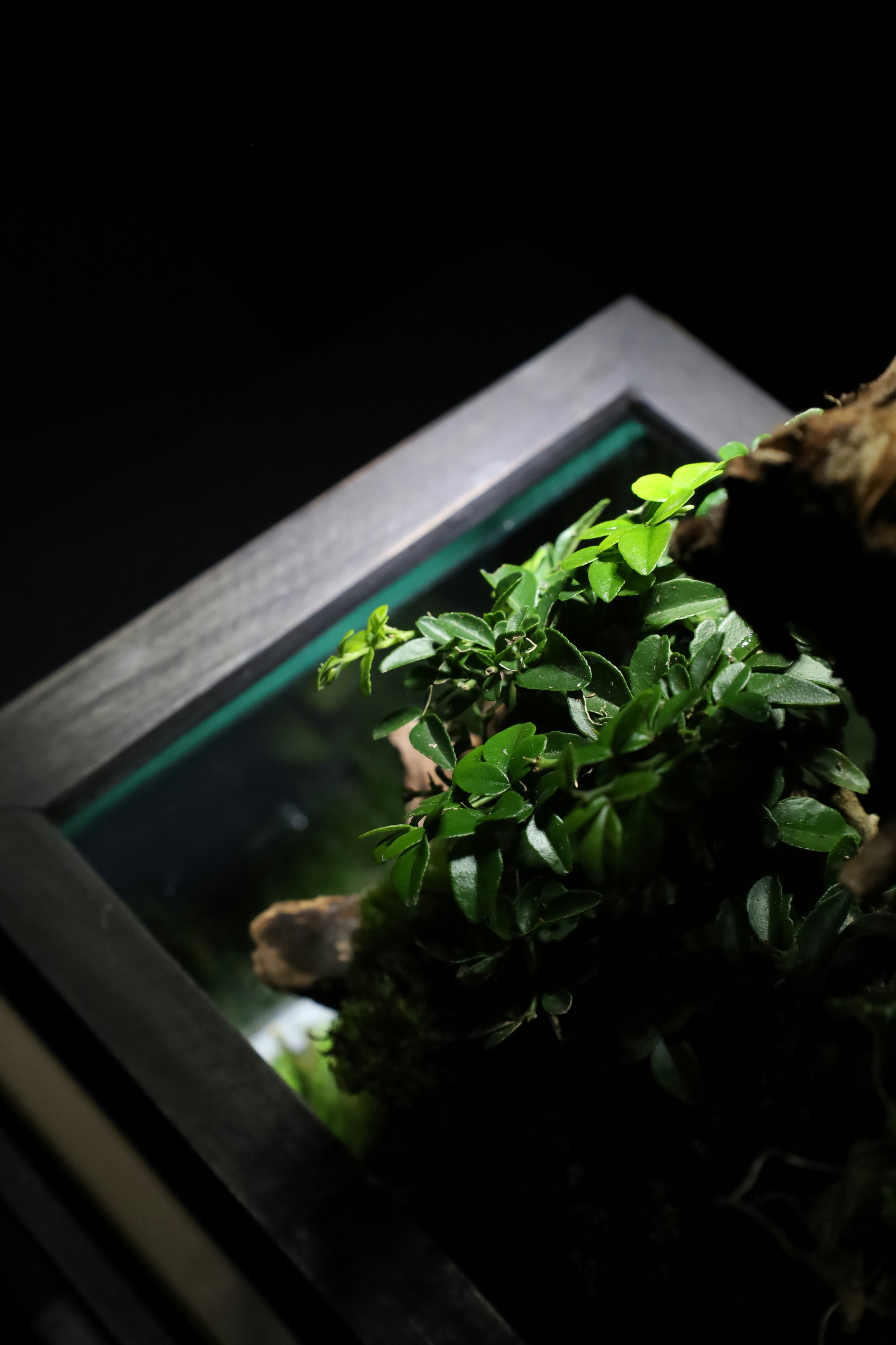 Photo by tranquangphu