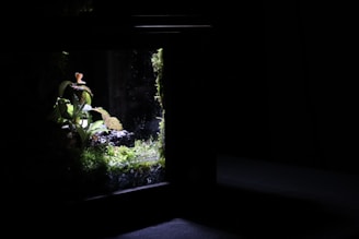 A vibrant terrarium filled with various small tropical plants and a few tiny animals.