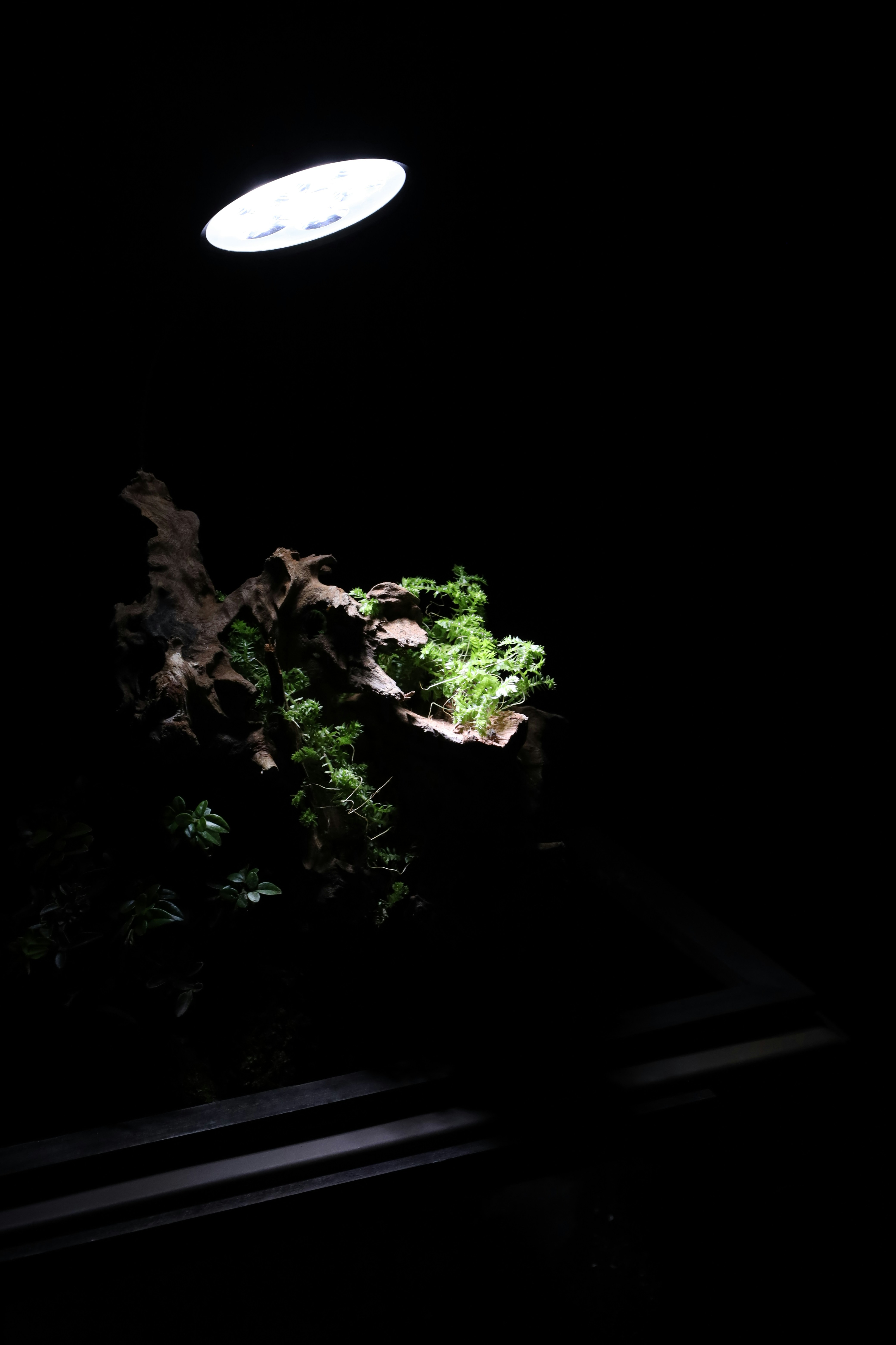 Photo by tranquangphu