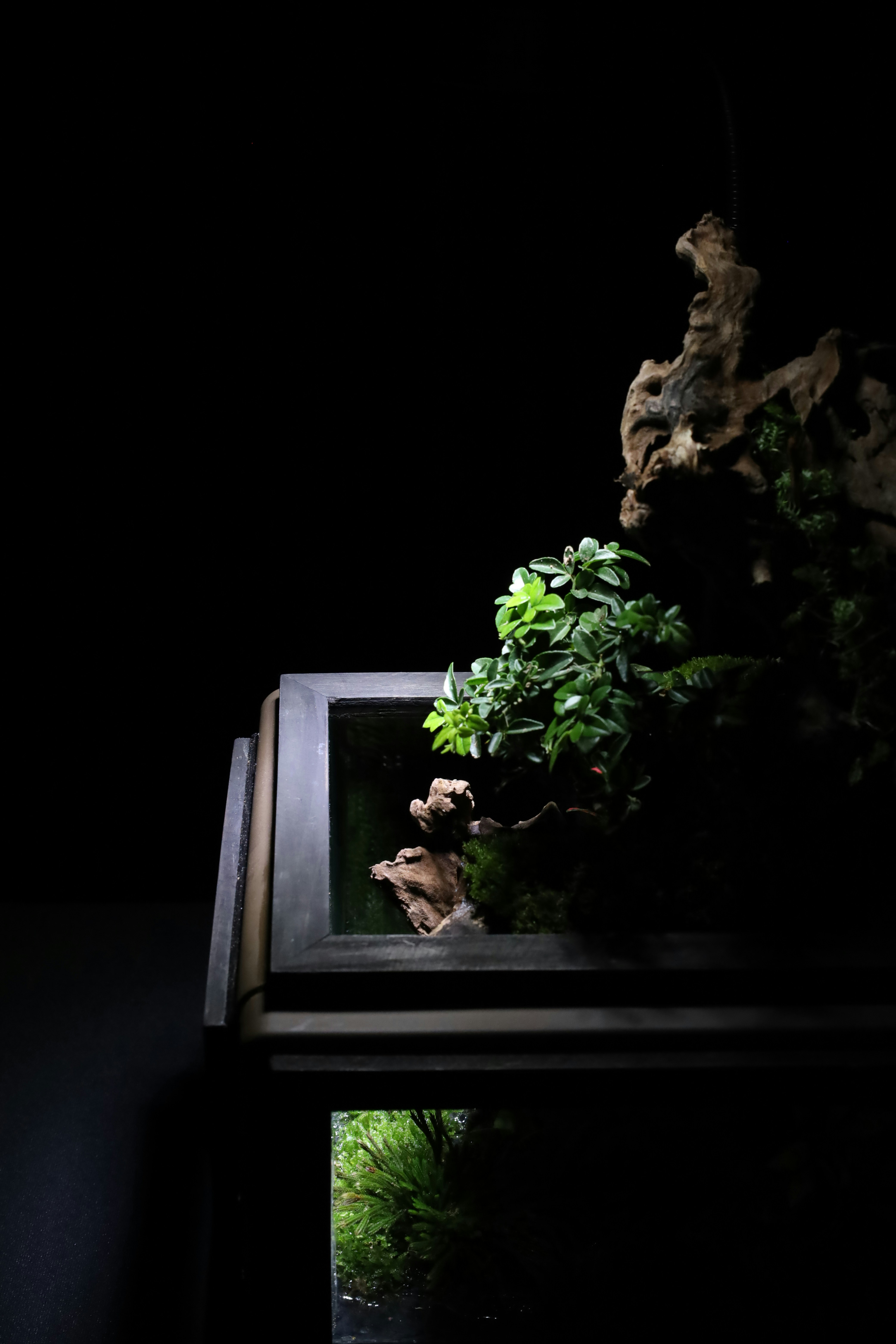 Photo by tranquangphu