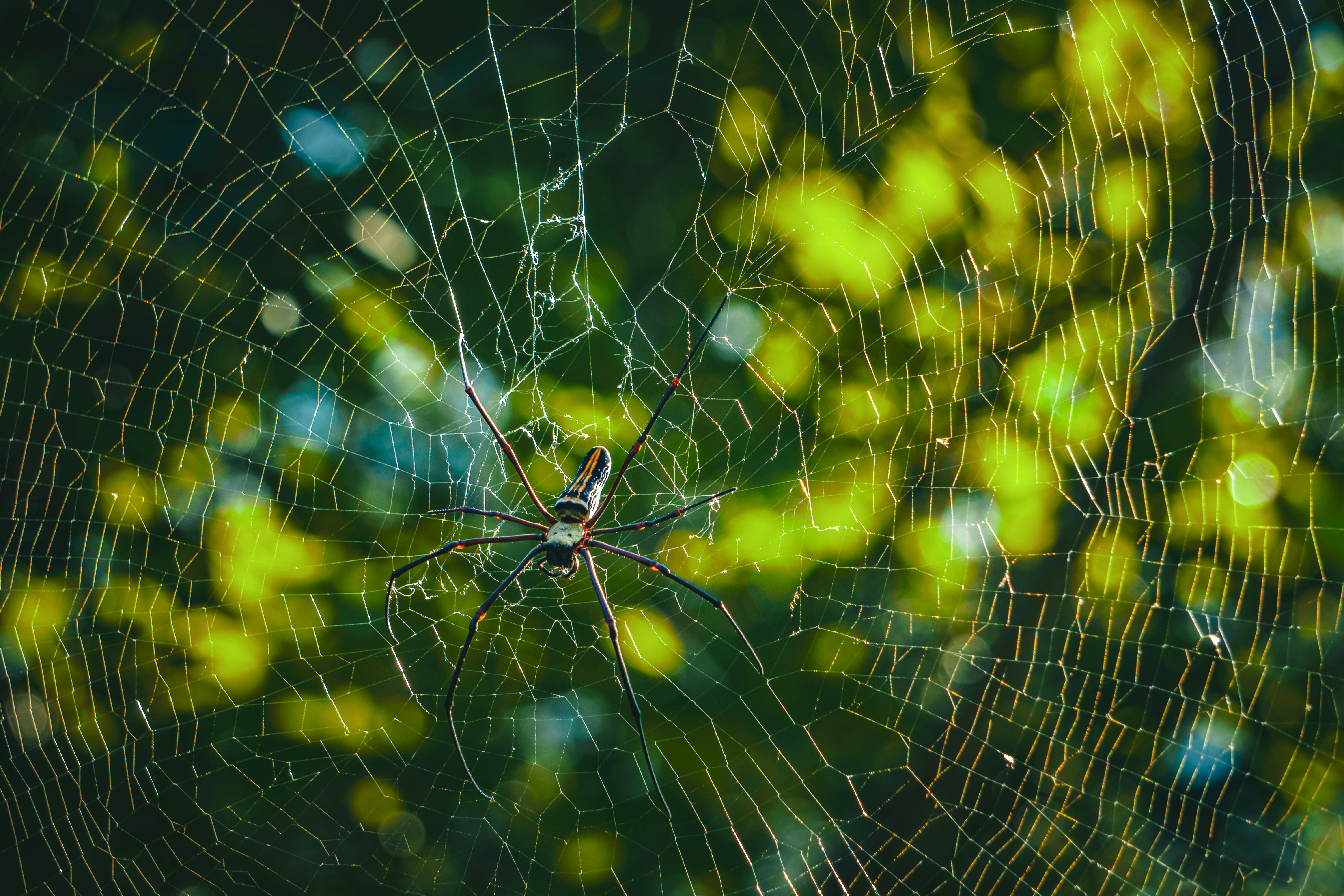 Photo by theblack_hood