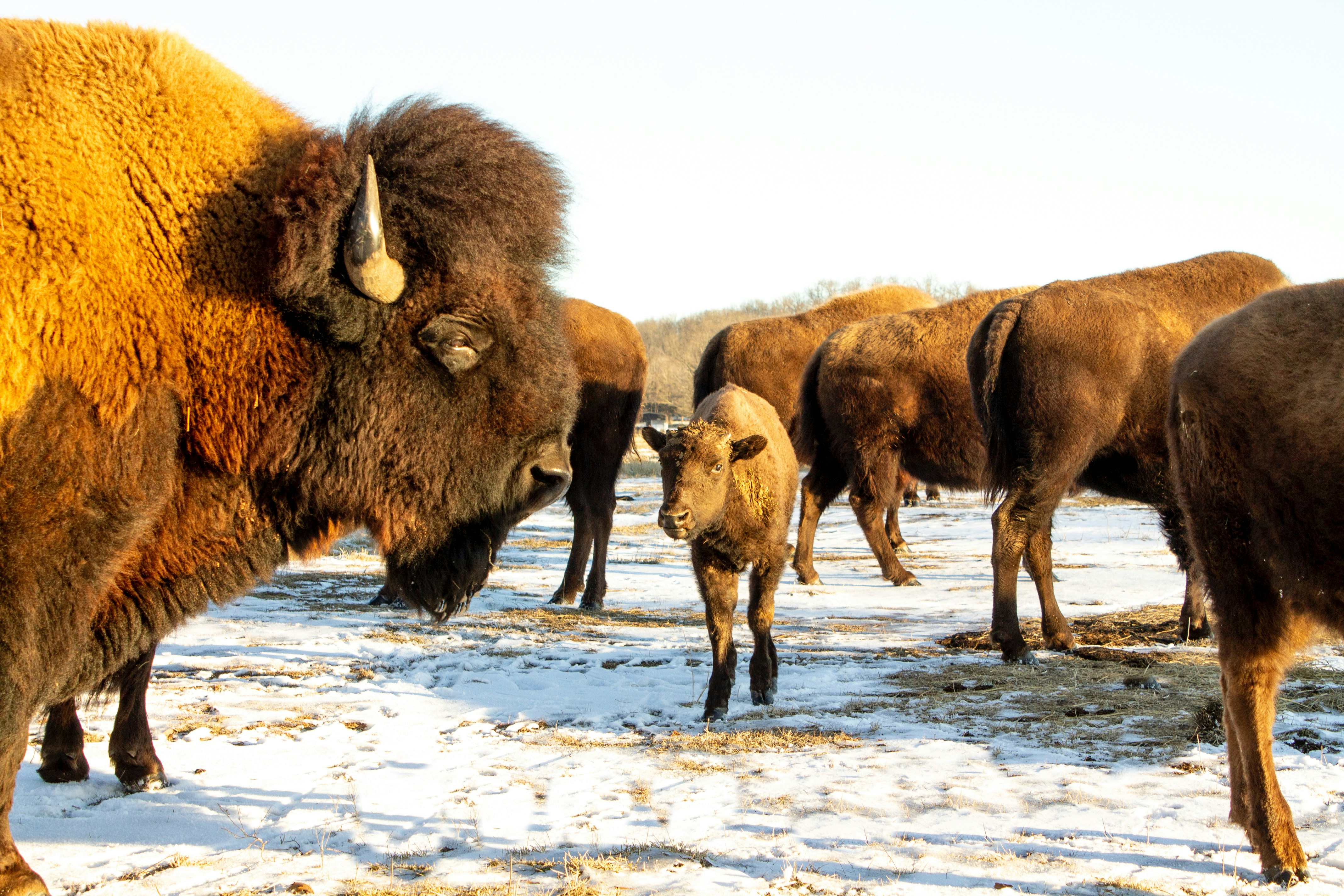 Photo by moonandmuse