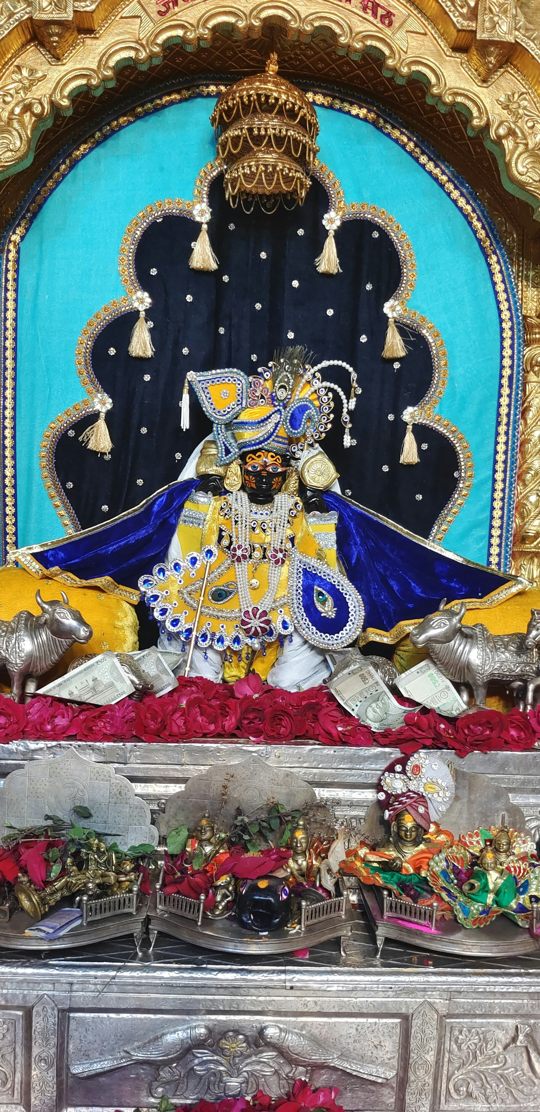 Elegant Krishna Dress