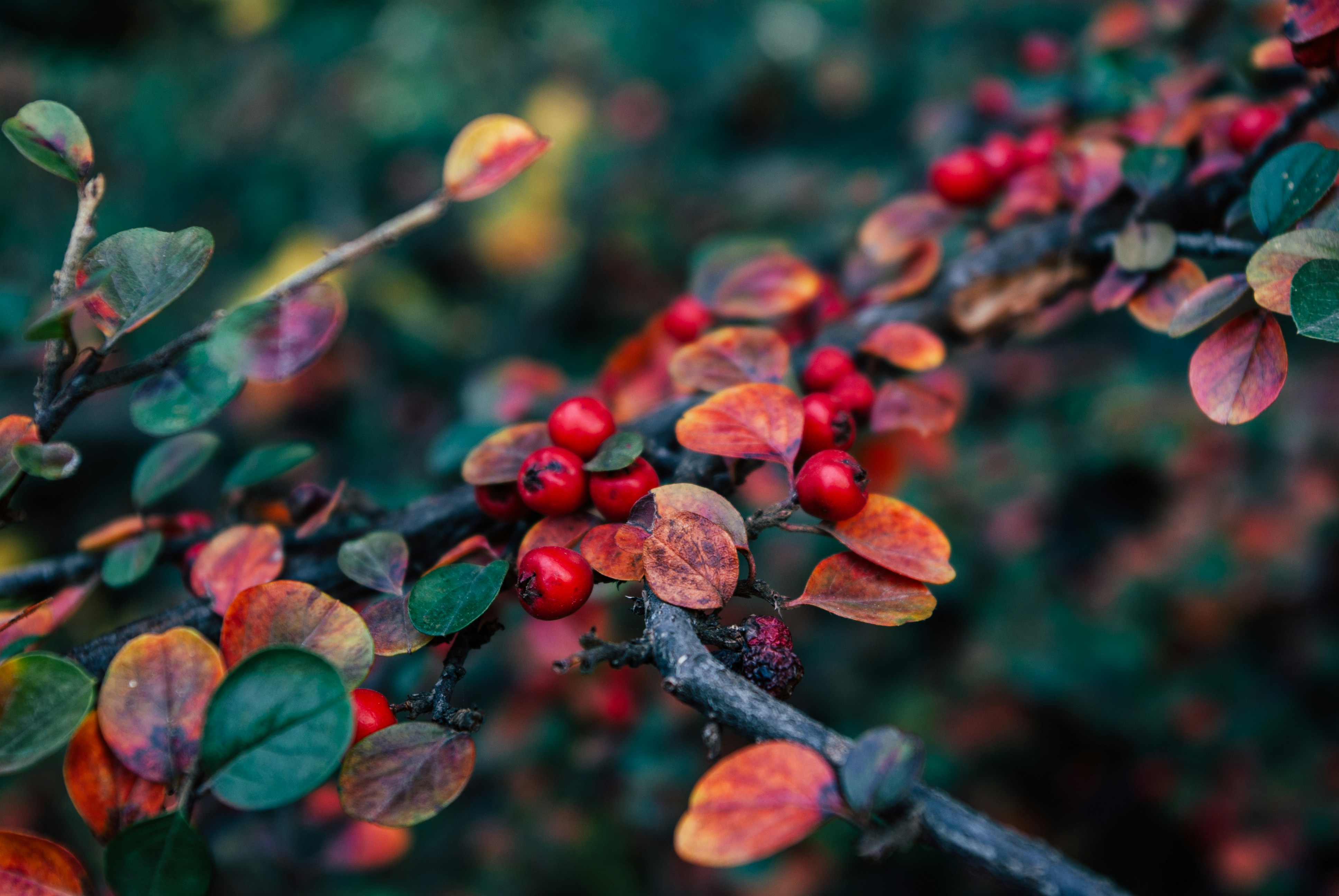 Photo by moonmoons_days