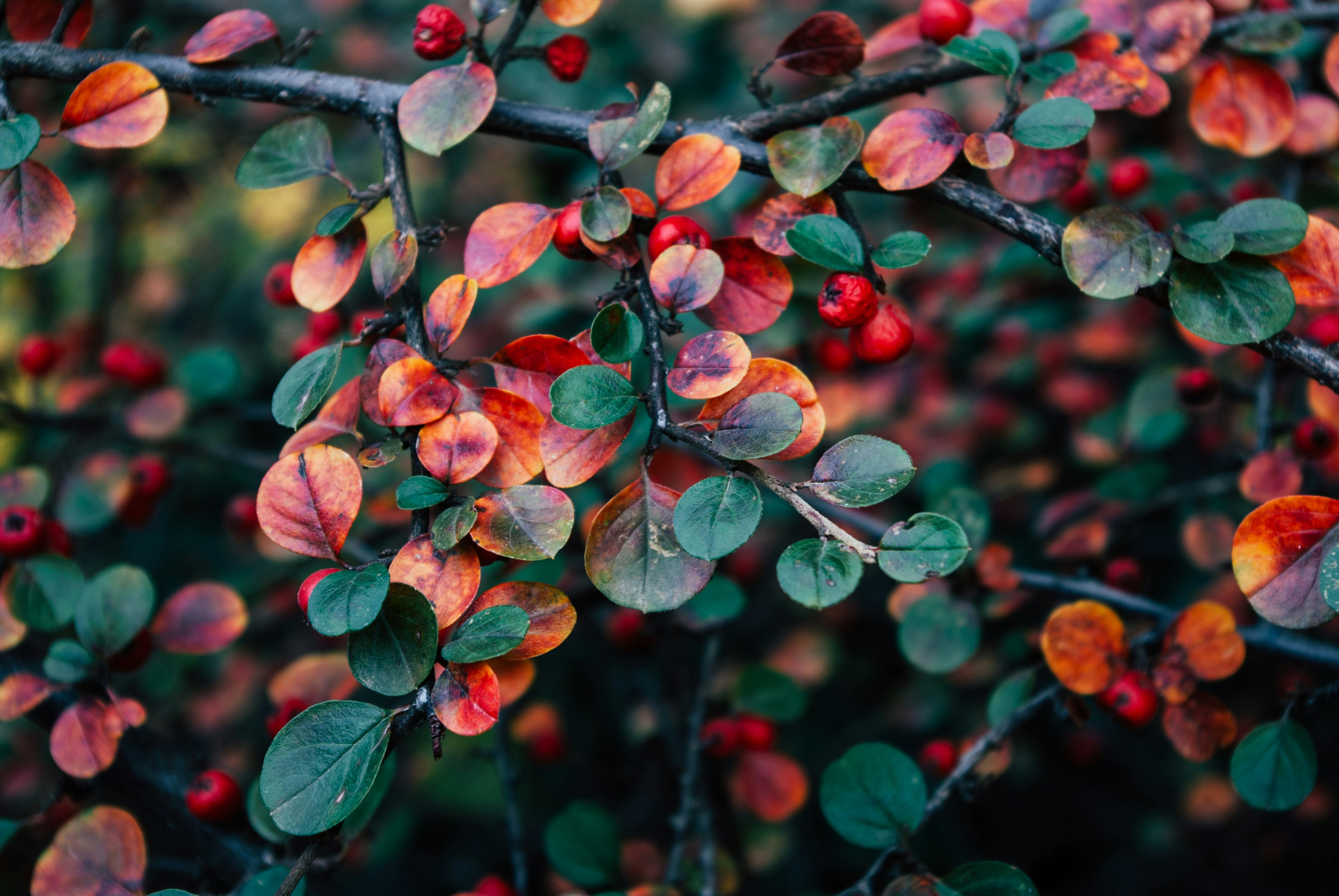 Photo by moonmoons_days