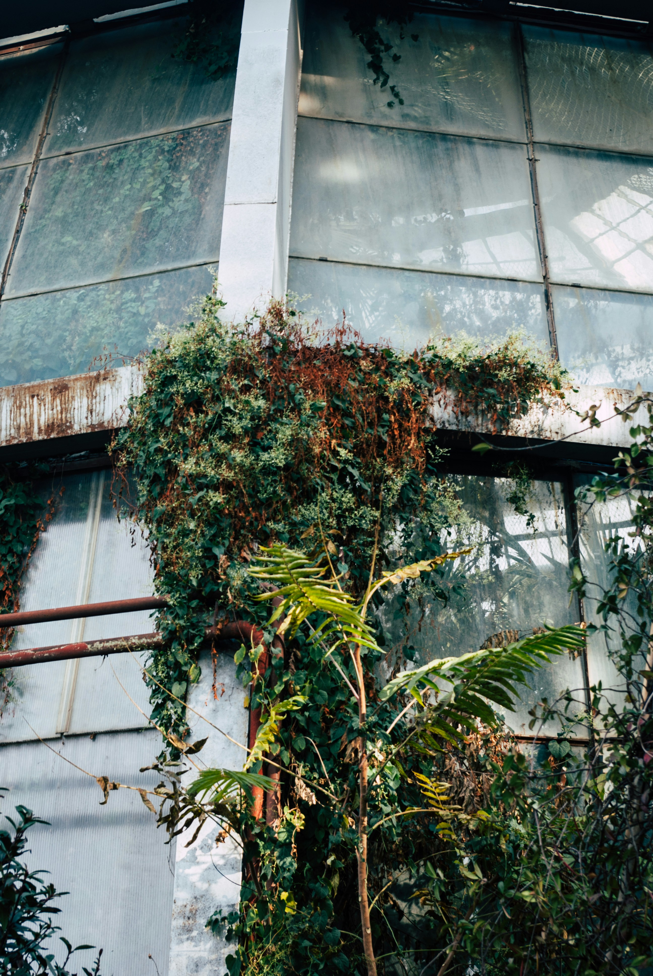 Photo by moonmoons_days