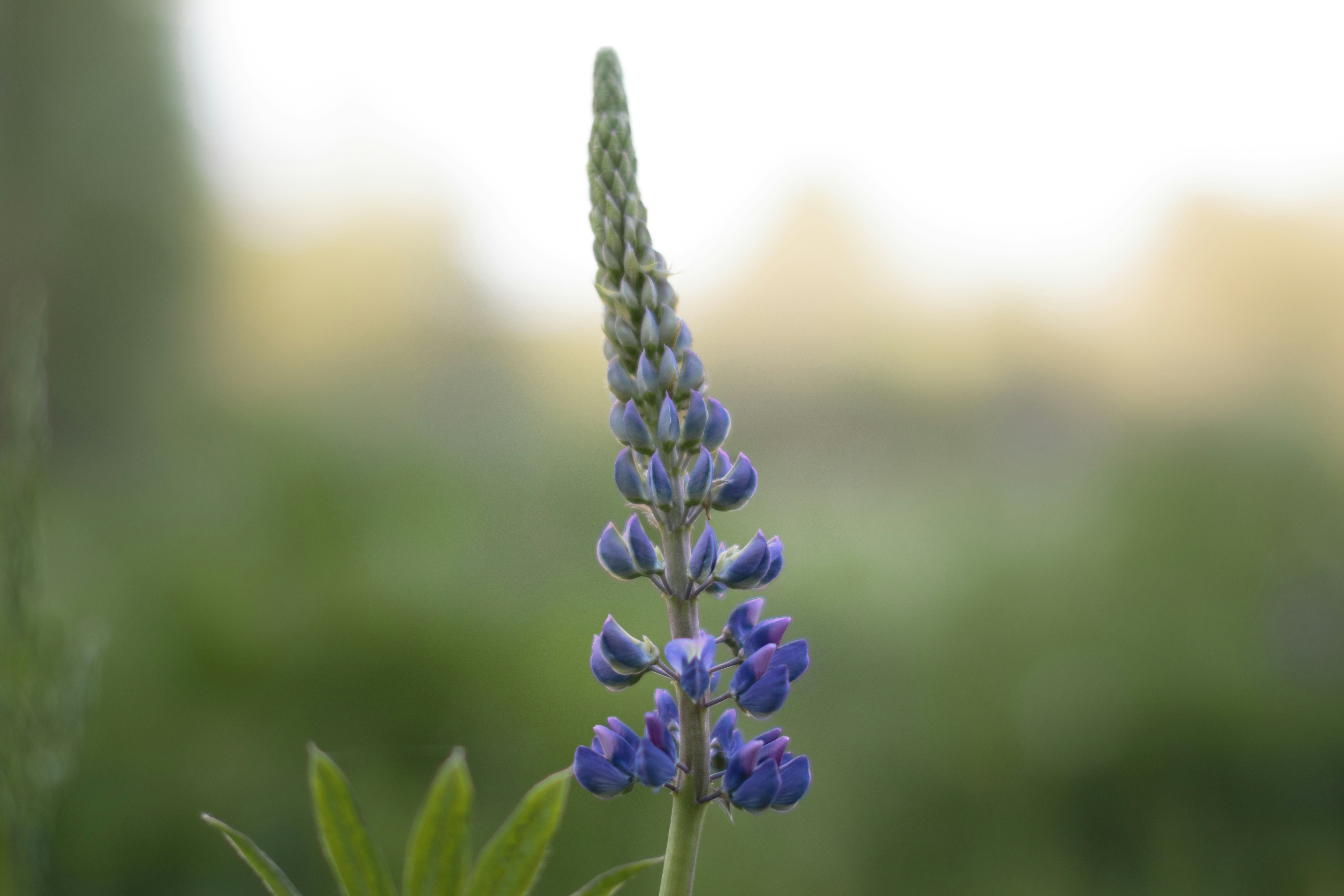 Photo by darkmoon_afa