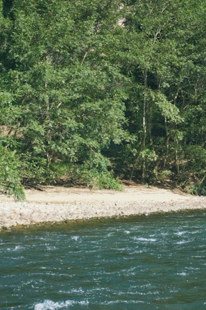 A calm river channel reinforced with stones to prevent flooding, surrounded by lush greenery