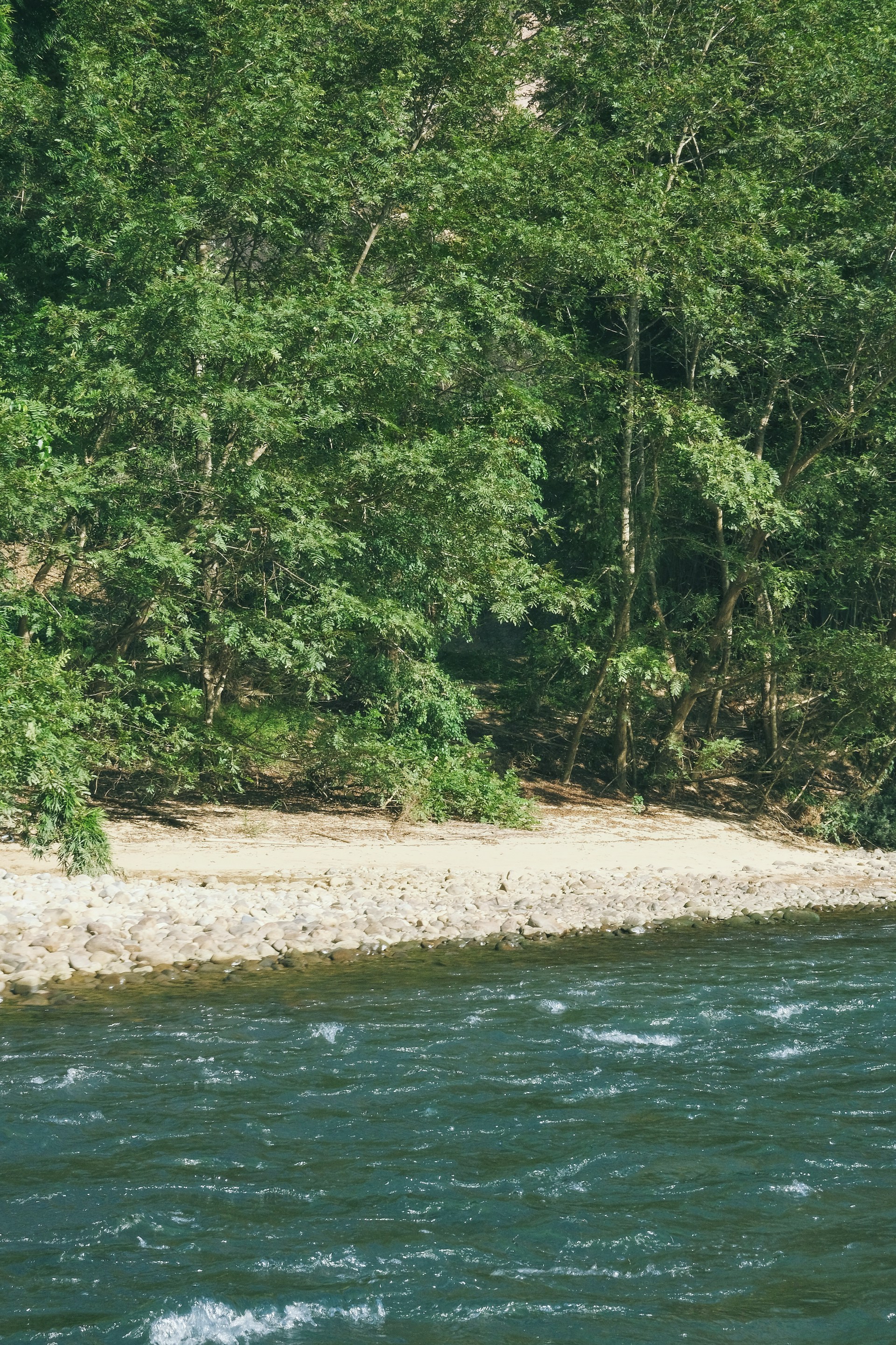 A calm river flowing gently with smooth stones and lush greenery on the banks.