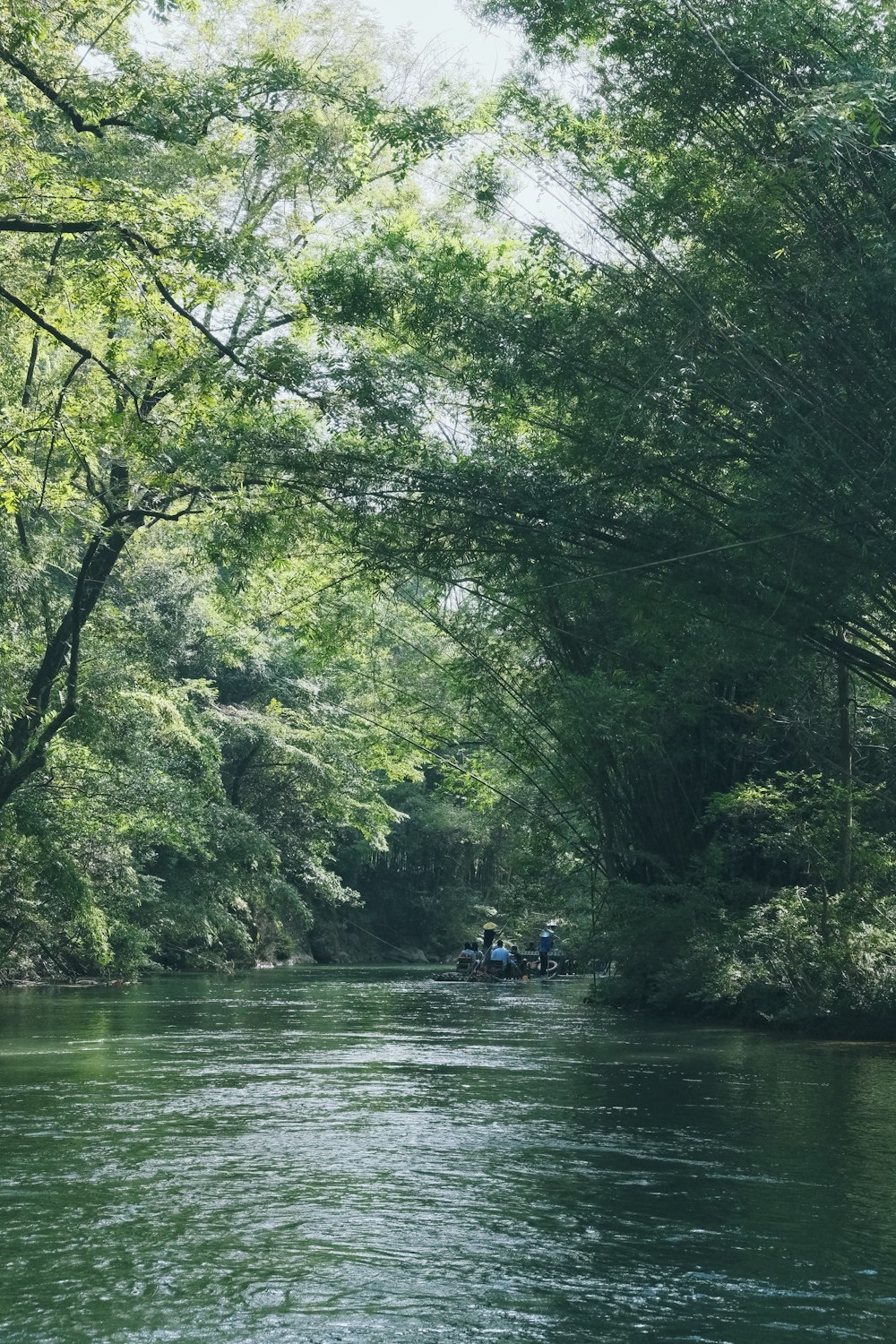 a boat is traveling down a river surrounded by trees