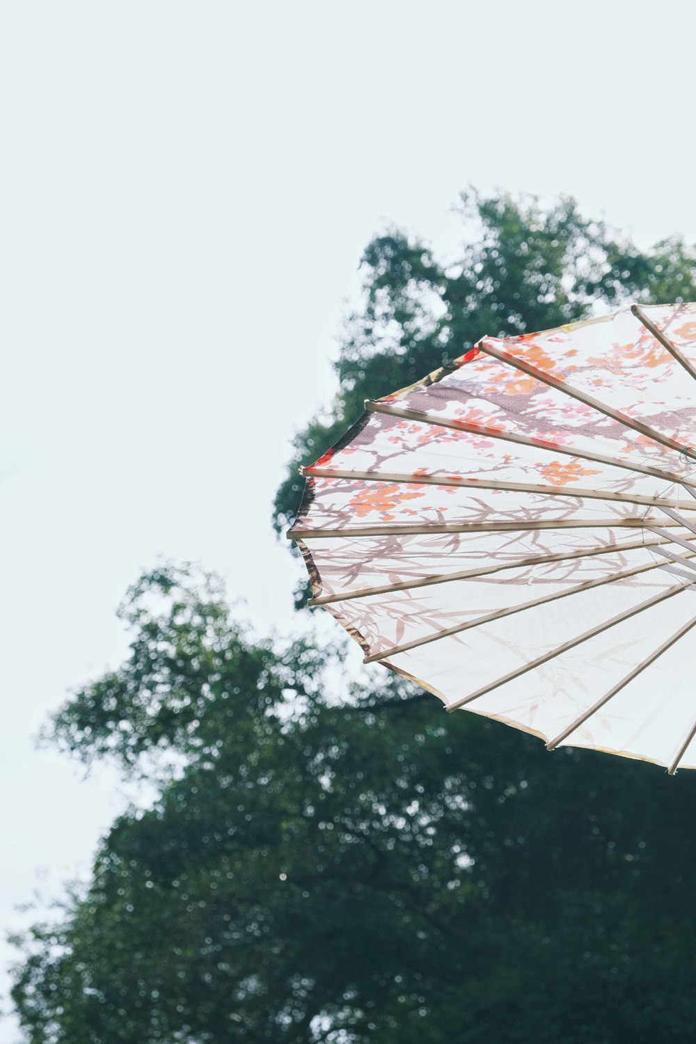 a woman holding an umbrella with trees in the background