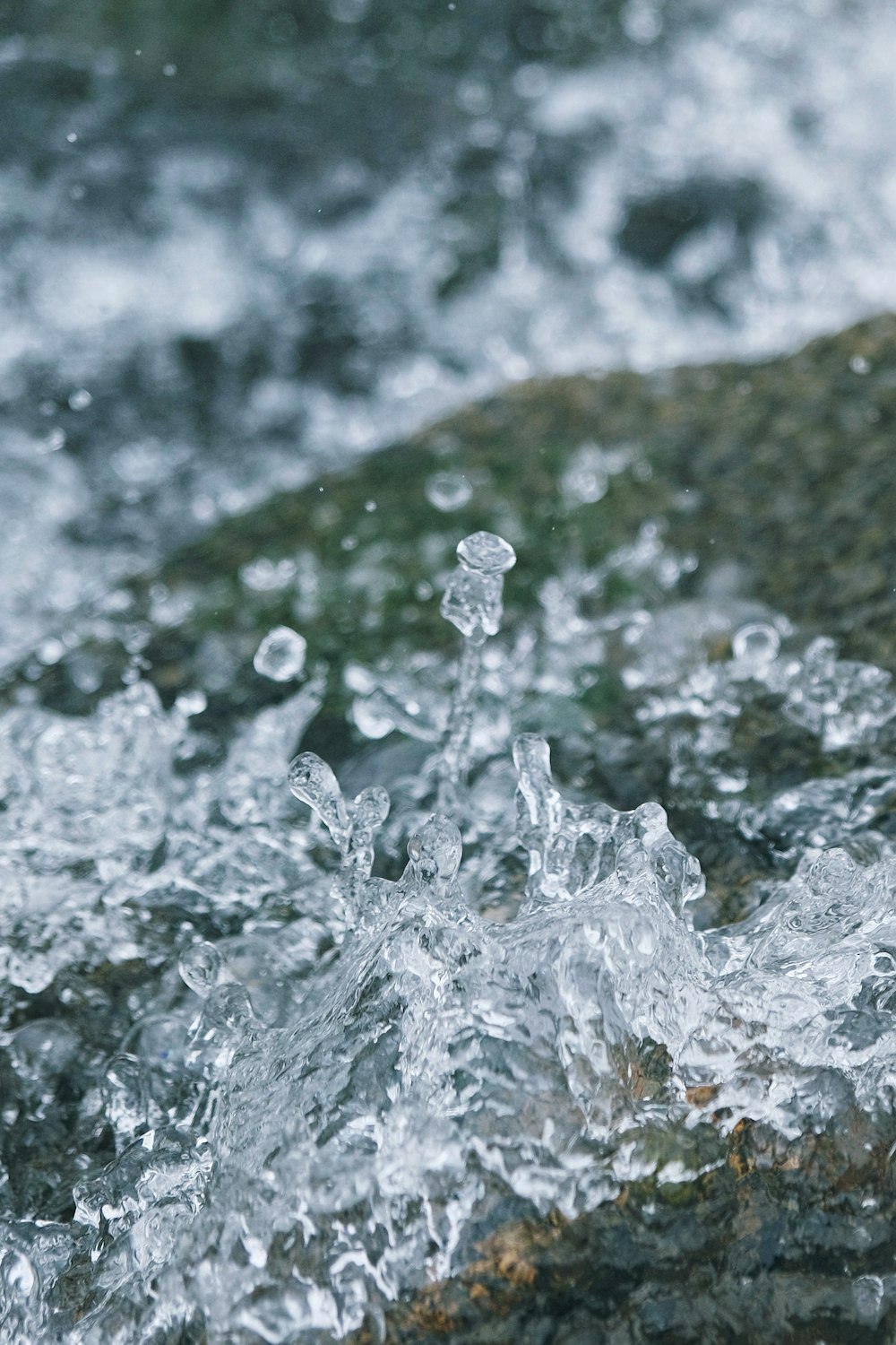 a bird is standing on a rock in the water