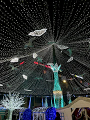 A dazzling seasonal holiday show with lights and festive decorations.