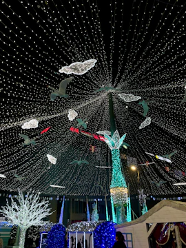 A dazzling seasonal holiday show with lights and festive decorations.