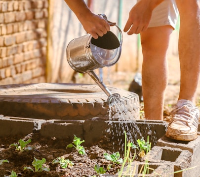 a person pouring water from a watering can into a garden