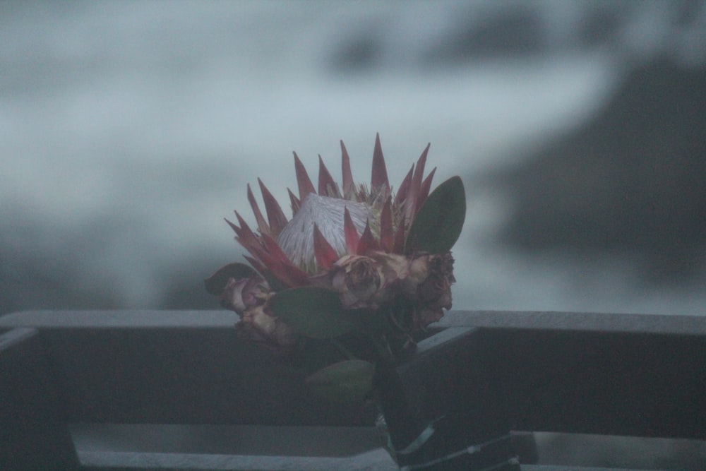 a bouquet of flowers sitting on top of a bench