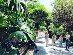 Visitors walking along a shaded path surrounded by tropical plants with volcano views.